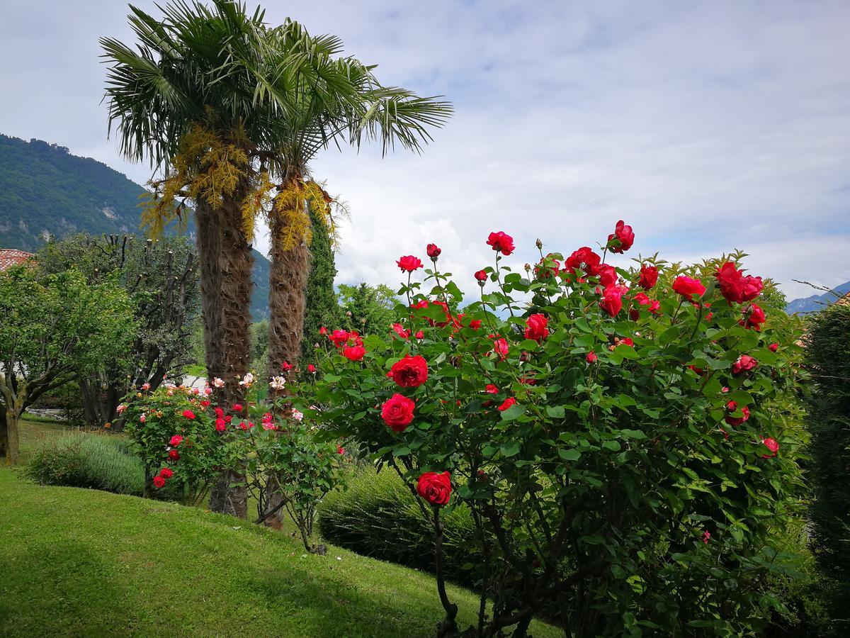 Bellagio Lake View Villa Oliveto Lario Exteriör bild