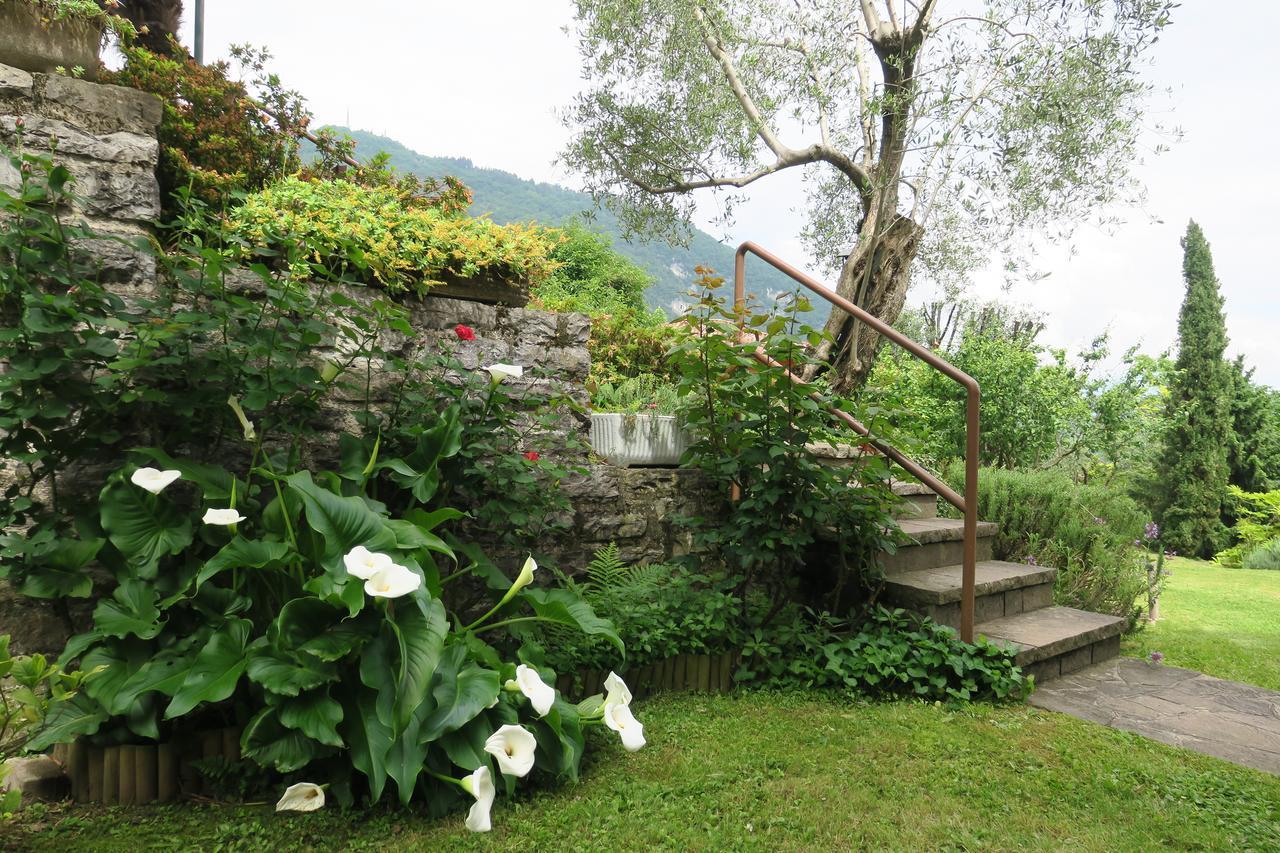 Bellagio Lake View Villa Oliveto Lario Exteriör bild
