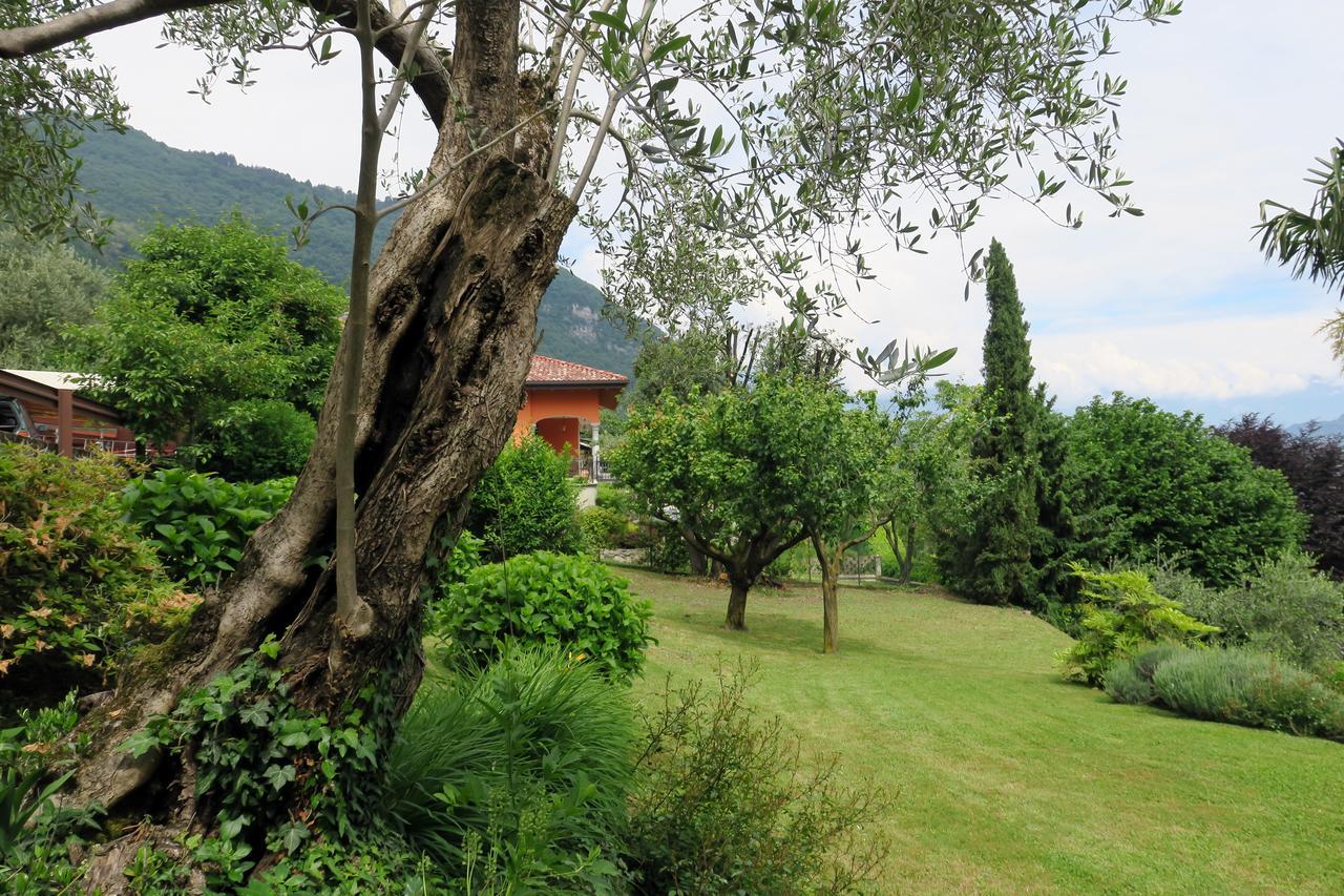 Bellagio Lake View Villa Oliveto Lario Exteriör bild