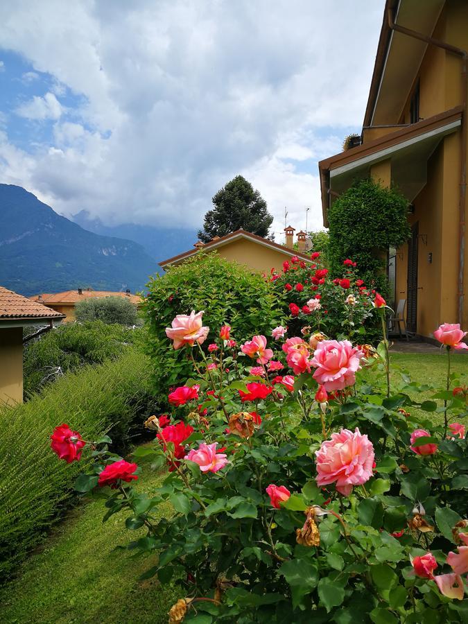 Bellagio Lake View Villa Oliveto Lario Exteriör bild