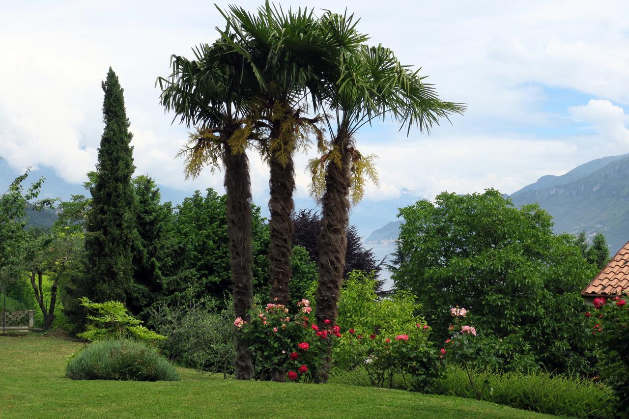 Bellagio Lake View Villa Oliveto Lario Exteriör bild